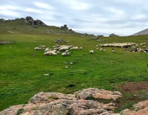 ییلاقات زیبای فومن یکی از جاهای دیدنی فومن