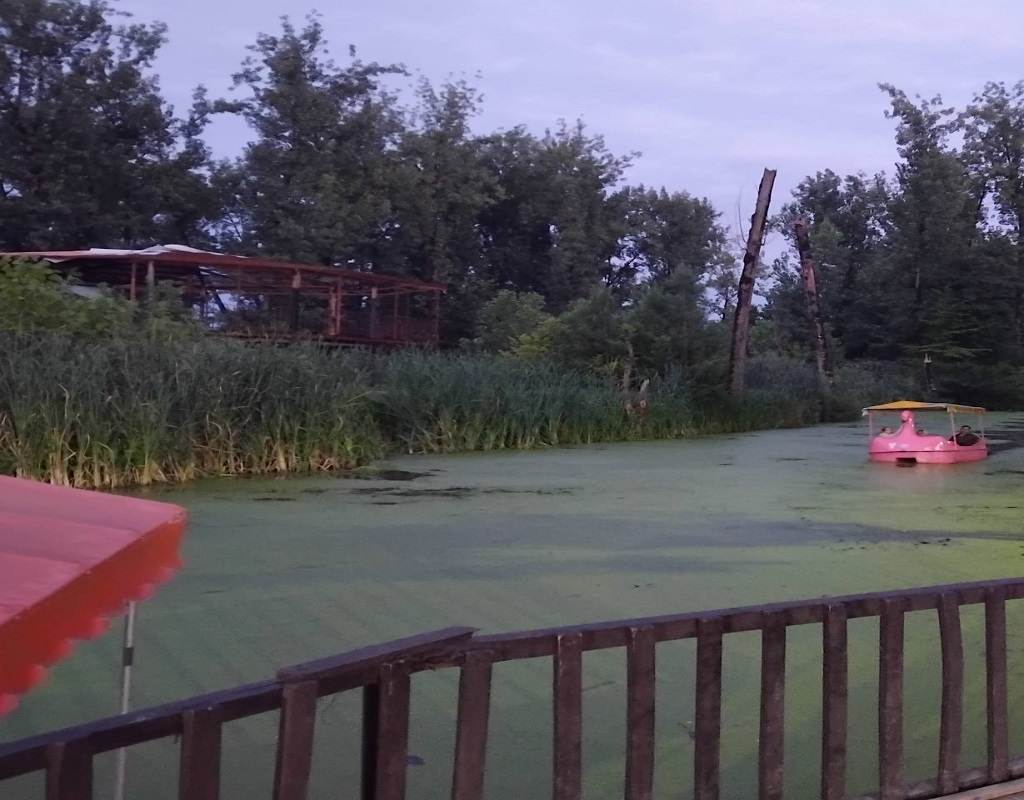 پارک جنگلی سراوان رشت با طبیعت سرسبز
